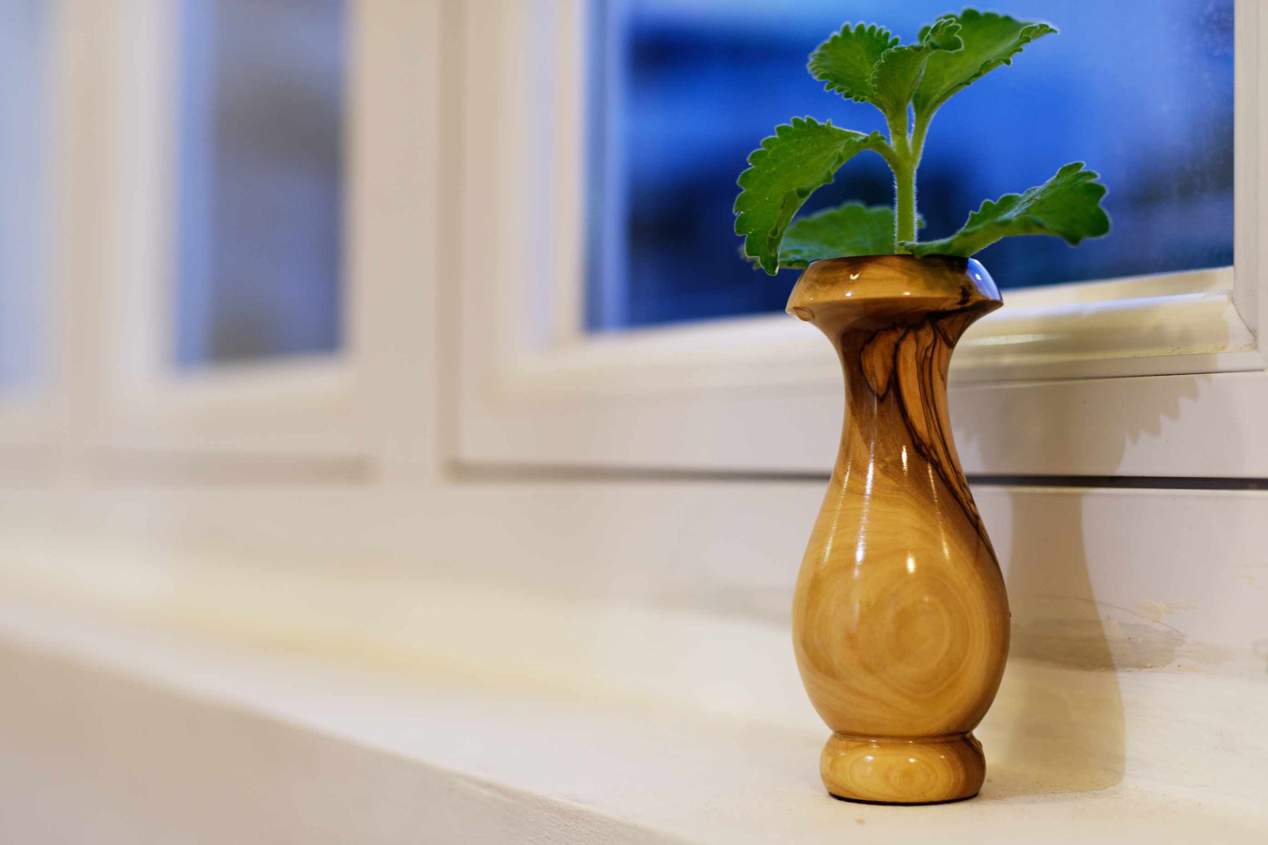 橄欖木花瓶Olive Wood Vase